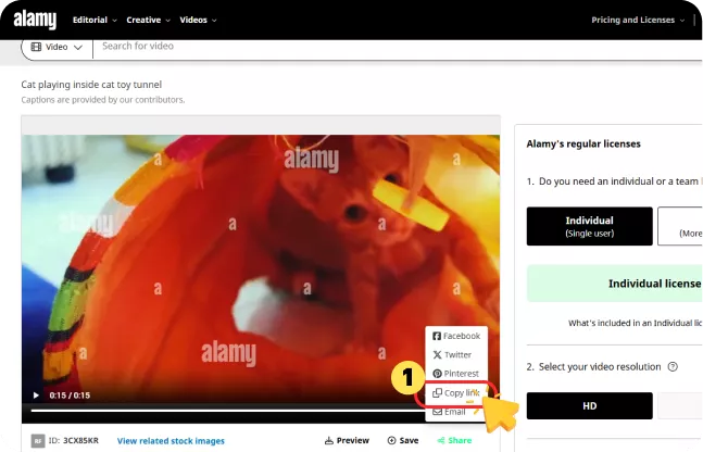 Copy the Alamy URL