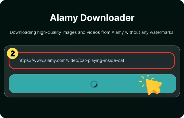 Paste the Link & Click Download