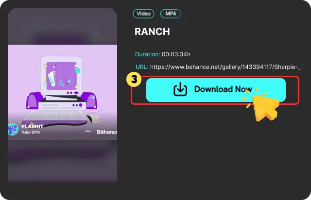 Extract Content and Download Files