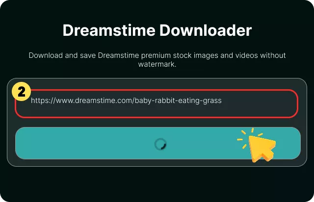 Incolla il link nel downloader