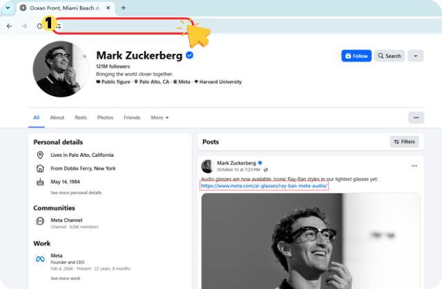 Copy the Profile Link or Username