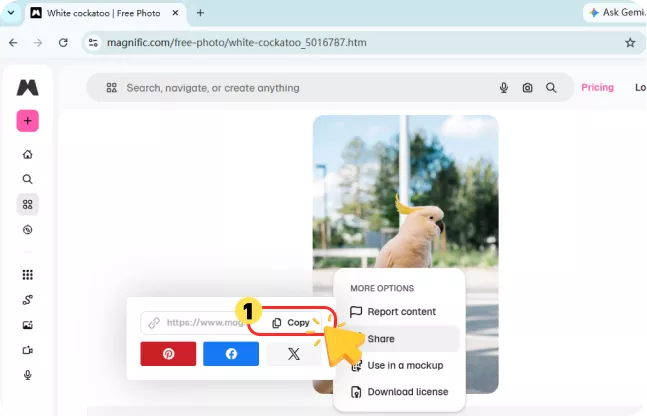 Copy the Freepik URL