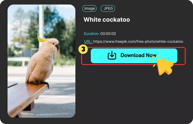 Download Your Freepik Media