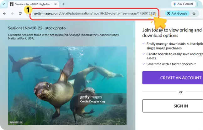 Copy the Getty Images URL