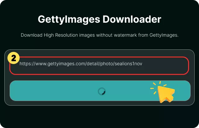 Paste the Link into the Downloader