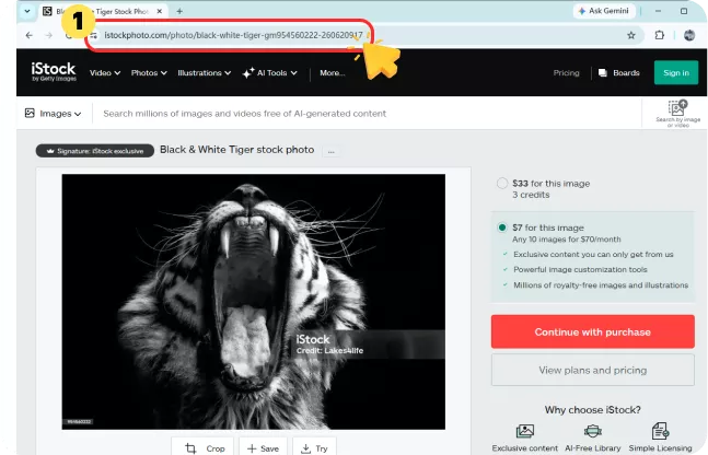 Copy the iStock URL