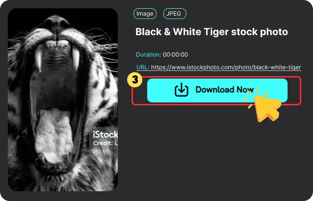 Download Your File