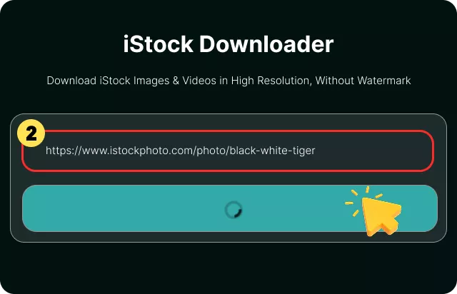 Paste the Link & Click Download
