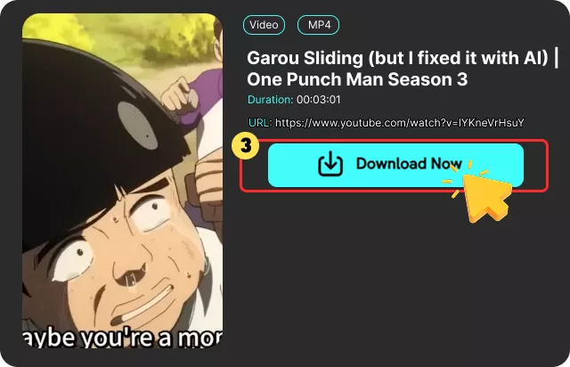 Download Your MP4 or MP3 File
