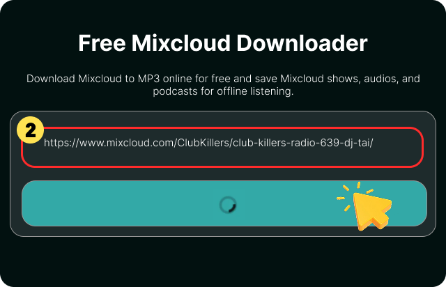 Collez le lien dans FliFlik Mixclous Downloader