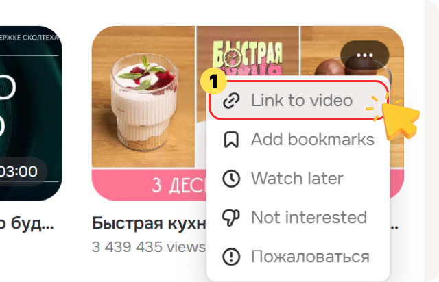Ok.ru 동영상 링크 복사