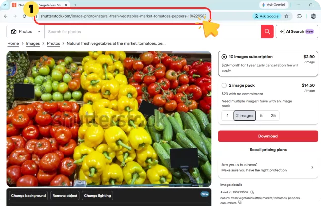 Copy the Shutterstock Image URL