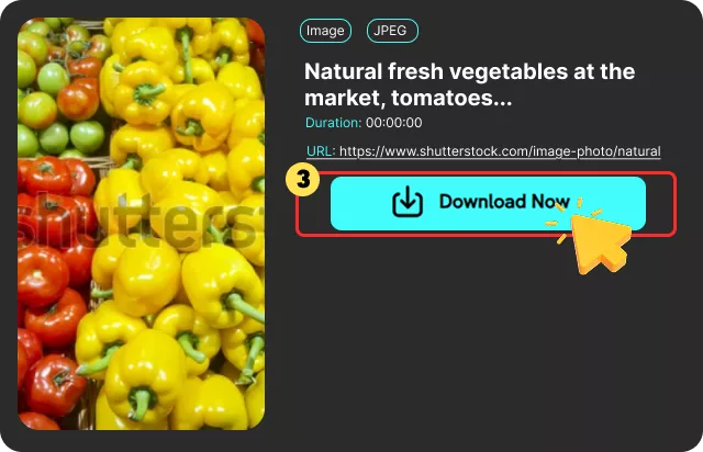Download Your Watermark-Free Image