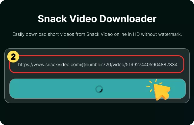 Paste the Snack Video URL
