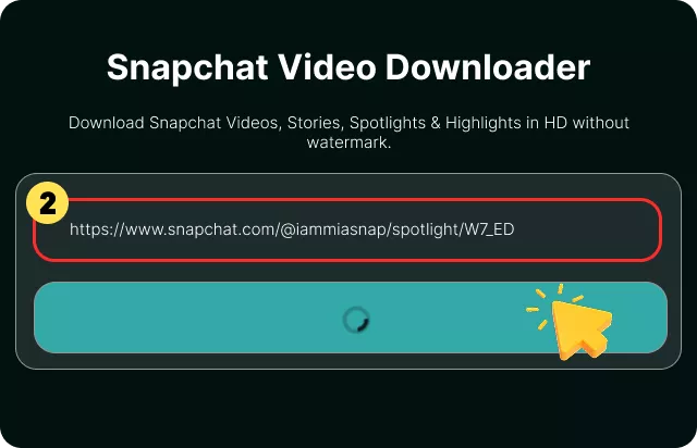 Pega la URL de Snapchat