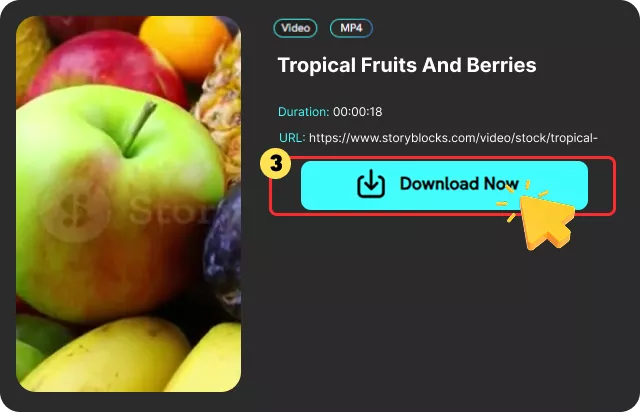 Extract Content and Download Files