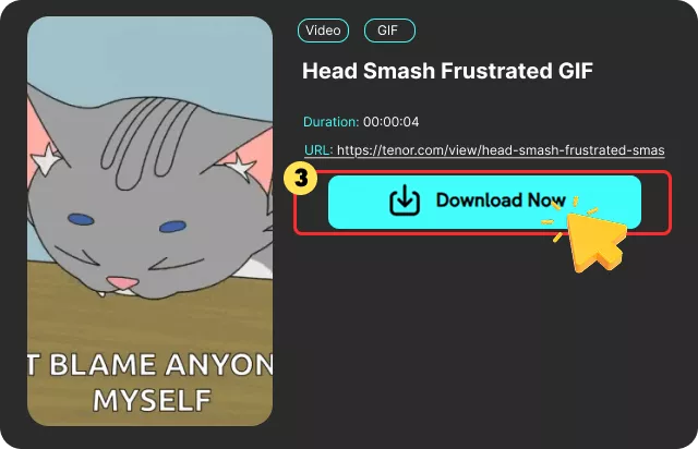 Download Your GIF or MP4 File