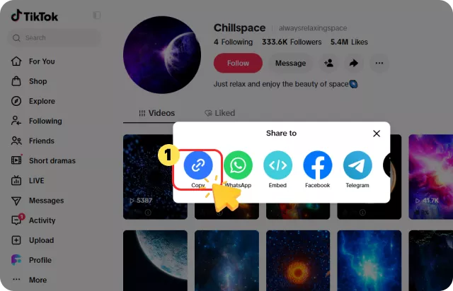 Copy the @Username or Profile Link