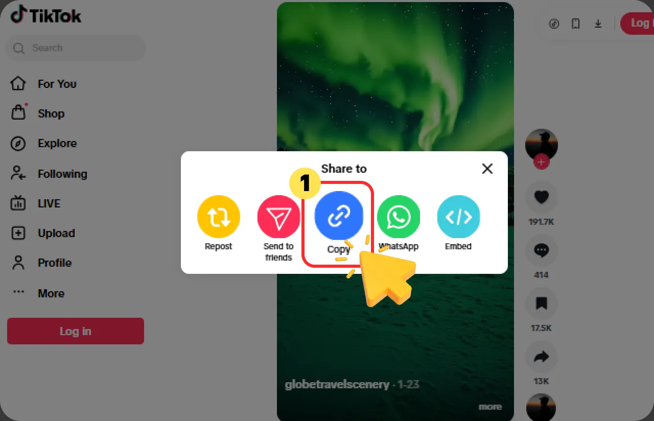Copy the TikTok Video URL