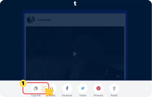 Copy Tumblr Link