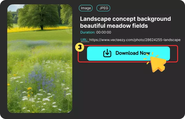 Extract Content and Download Files