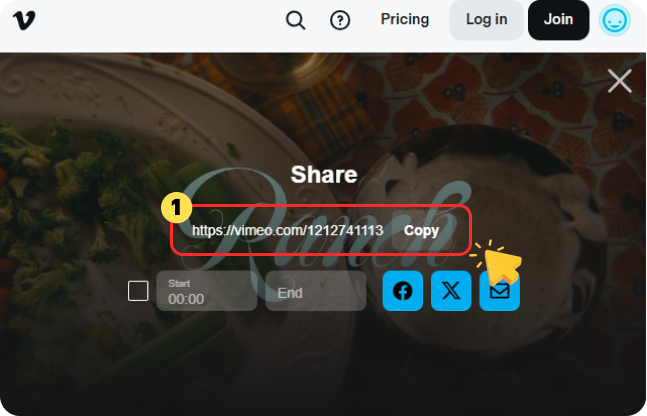 Copy the Vimeo Video URL