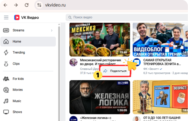 Copy VK Video Link