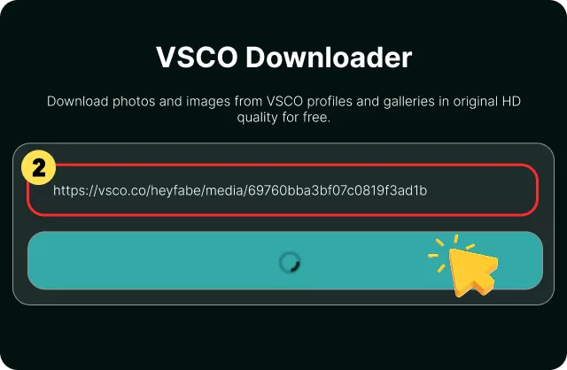 Paste the VSCO URL
